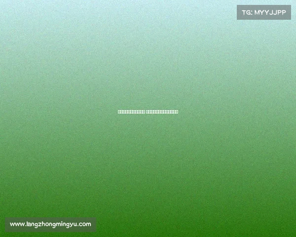 荷兰人勇敢追梦探索蓝天 创新精神引领飞行技术新篇章 荷兰人勇敢追梦探索蓝天 创新精神引领飞行技术新篇章