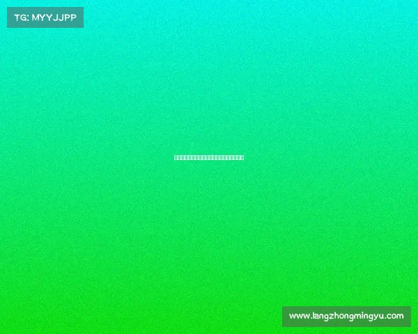 蜘蛛巧妙收网背后隐藏的生存智慧与生态意义