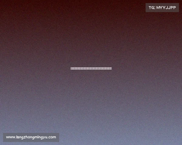 德甲顶级后防阵容解析：防线强悍的背后策略与明星球员贡献