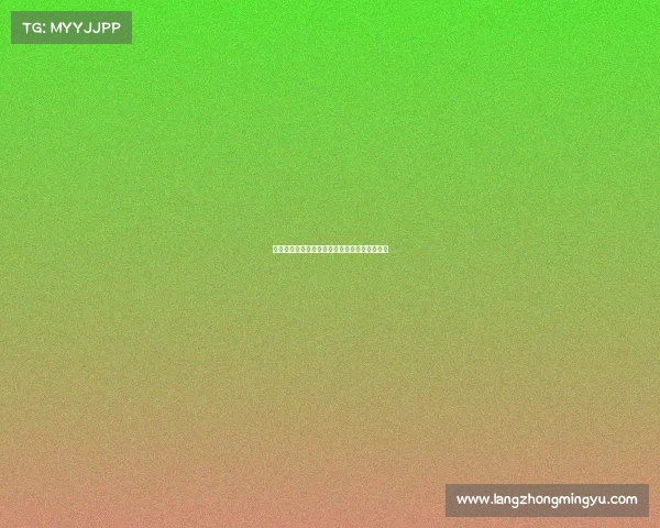 西甲各大球队教练团队深度分析与战术布局探讨